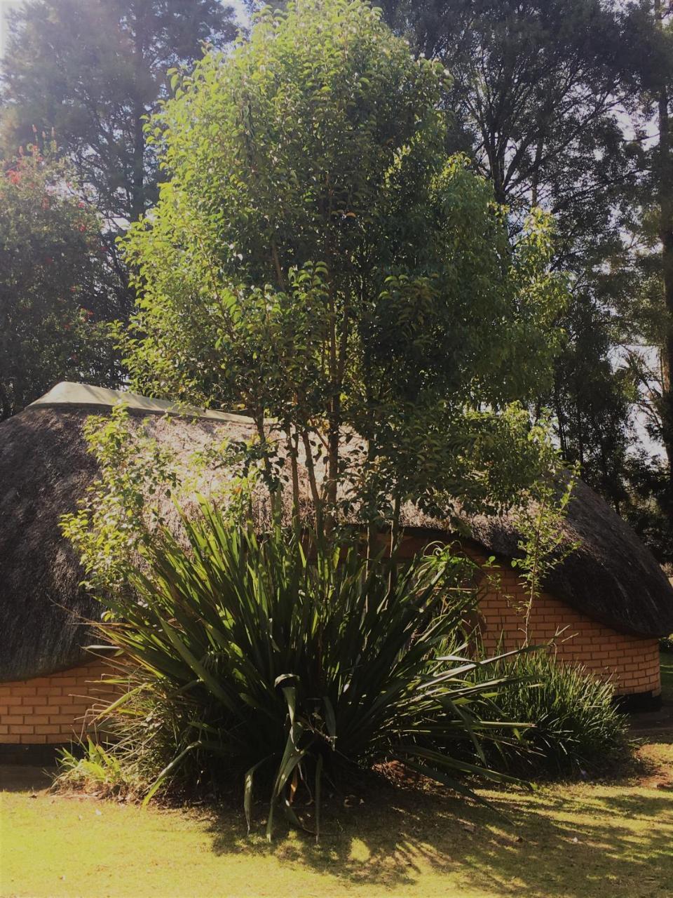 Summit Lodge Graskop Exterior foto